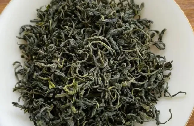 食用常识|玉露茶属于什么茶类