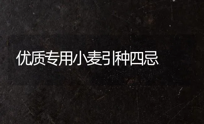 优质专用小麦引种四忌 | 粮油作物种植