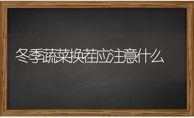 冬季蔬菜换茬应注意什么 | 蔬菜种植