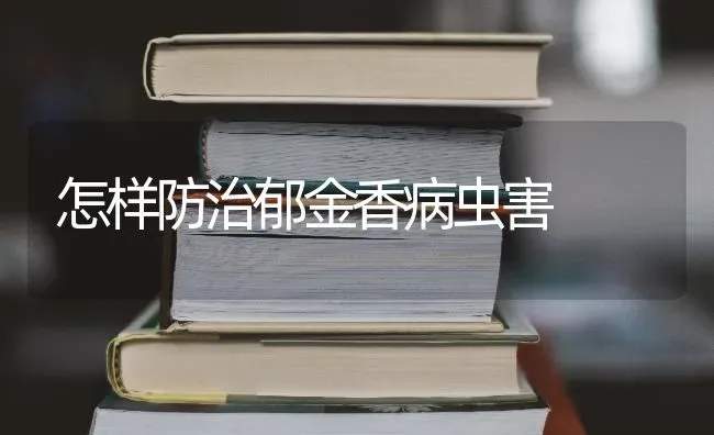 怎样防治郁金香病虫害 | 种植病虫害防治