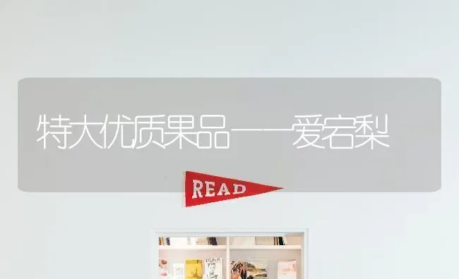 特大优质果品——爱宕梨 | 瓜果种植