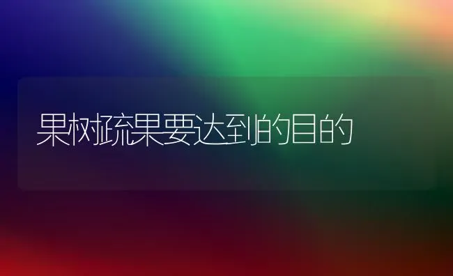 果树疏果要达到的目的 | 瓜果种植