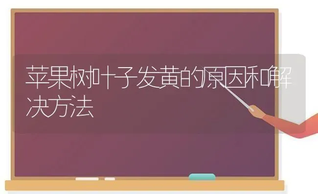 苹果树叶子发黄的原因和解决方法 | 瓜果种植