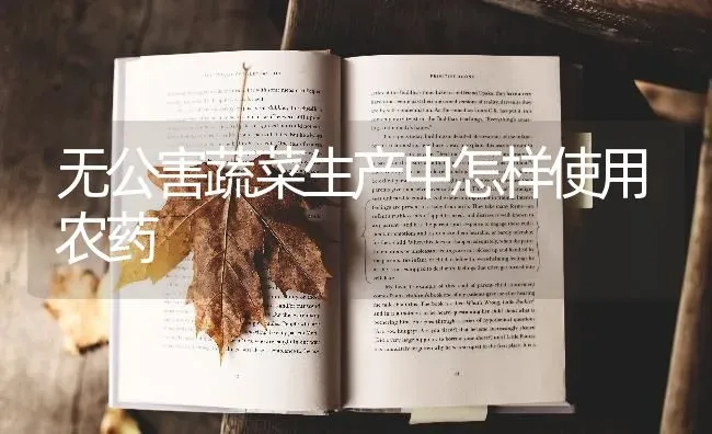 无公害蔬菜生产中怎样使用农药 | 蔬菜种植