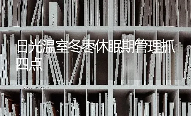 日光温室冬枣休眠期管理抓四点 | 瓜果种植