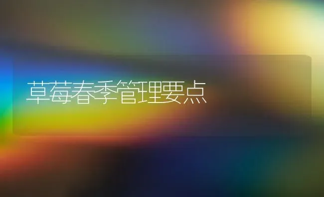 草莓春季管理要点 | 瓜果种植