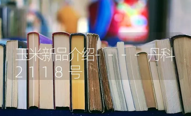 玉米新品介绍----丹科2118号 | 粮油作物种植