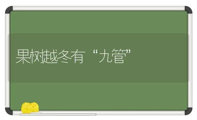 果树越冬有“九管” | 瓜果种植