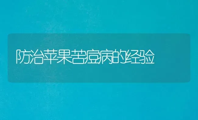 防治苹果苦痘病的经验 | 瓜果种植