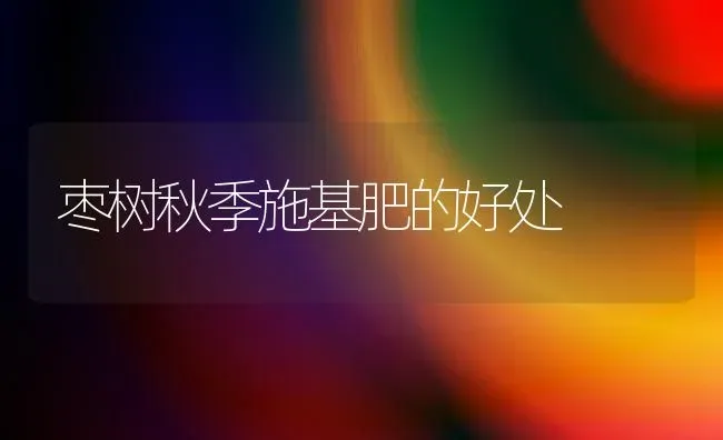 枣树秋季施基肥的好处 | 瓜果种植