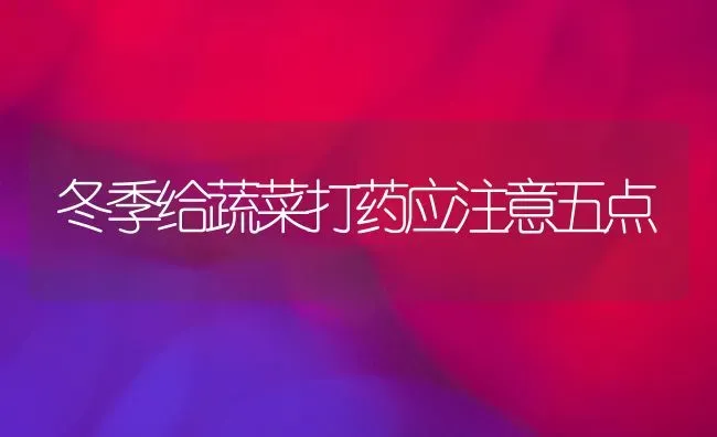冬季给蔬菜打药应注意五点 | 蔬菜种植
