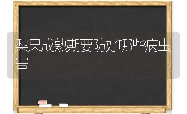 梨果成熟期要防好哪些病虫害 | 瓜果种植