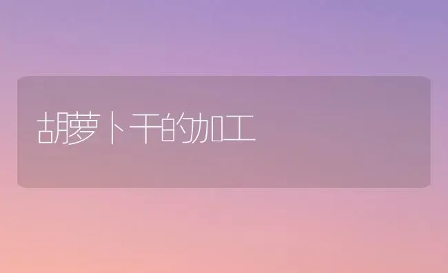 胡萝卜干的加工 | 蔬菜种植