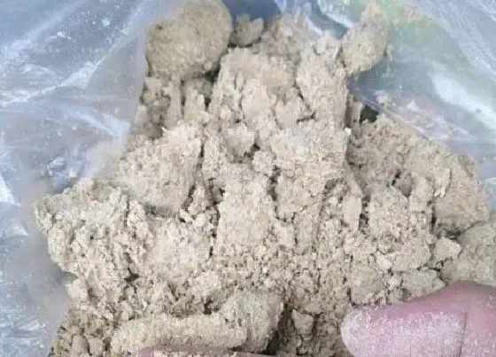 植物施肥|有机肥料有哪些种类 常用的有机肥可以分哪几种