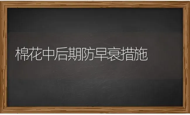 棉花中后期防早衰措施 | 粮油作物种植
