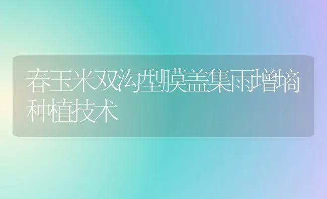 春玉米双沟型膜盖集雨增墒种植技术 | 植物种植百科