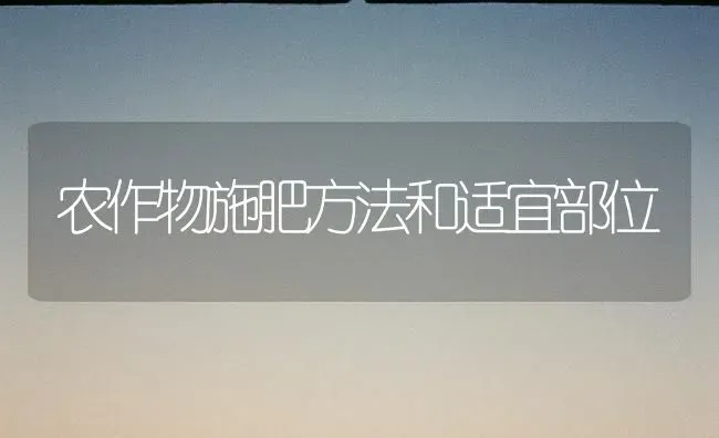 农作物施肥方法和适宜部位 | 种植肥料施肥