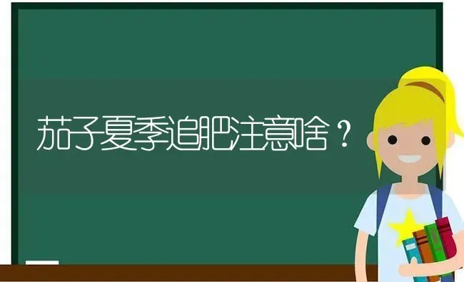 茄子夏季追肥注意啥？ | 蔬菜种植