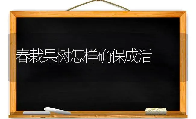 春栽果树怎样确保成活 | 瓜果种植