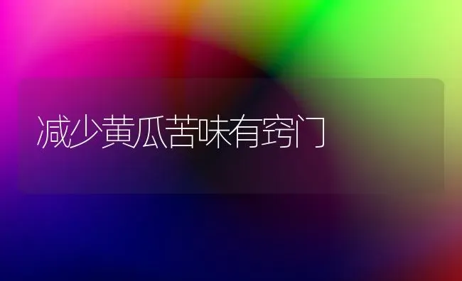 减少黄瓜苦味有窍门 | 蔬菜种植