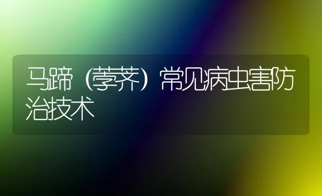 马蹄（荸荠）常见病虫害防治技术 | 种植病虫害防治