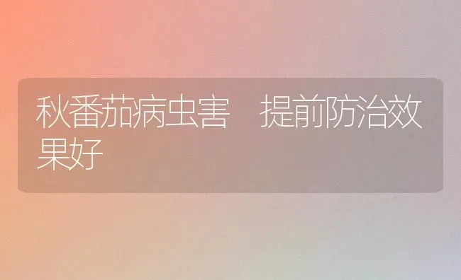 秋番茄病虫害 提前防治效果好 | 瓜果种植