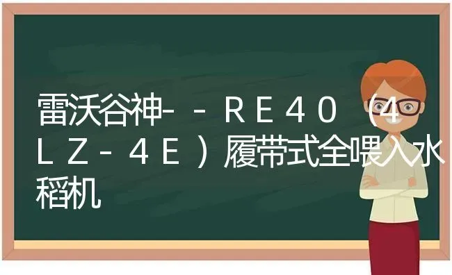 雷沃谷神--RE40（4LZ-4E）履带式全喂入水稻机 | 粮油作物种植