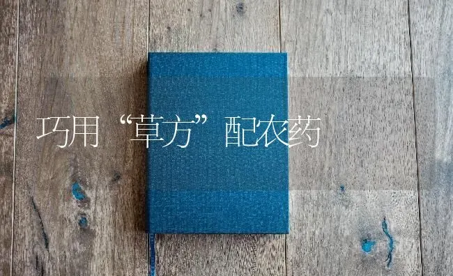 巧用“草方”配农药 | 种植病虫害防治