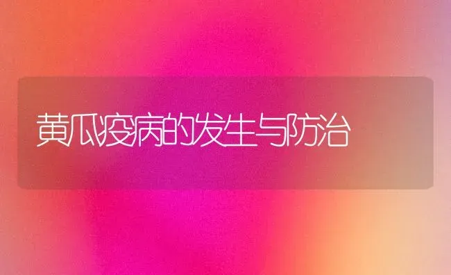 黄瓜疫病的发生与防治 | 蔬菜种植