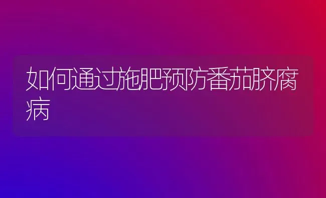 如何通过施肥预防番茄脐腐病 | 种植肥料施肥