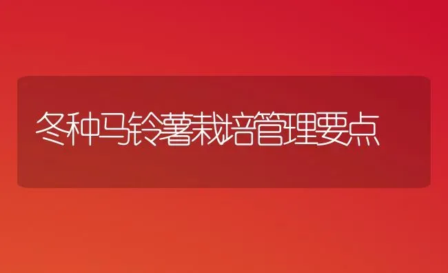冬种马铃薯栽培管理要点 | 粮油作物种植