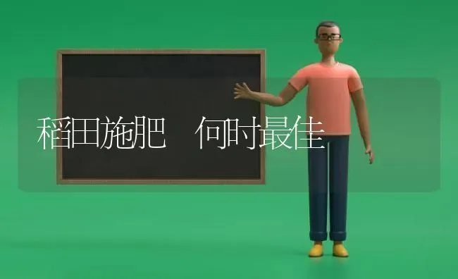 稻田施肥 何时最佳 | 种植肥料施肥