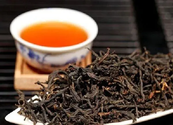 植物浇水|红茶可以浇花吗