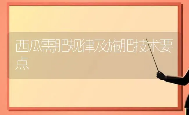 西瓜需肥规律及施肥技术要点 | 种植肥料施肥