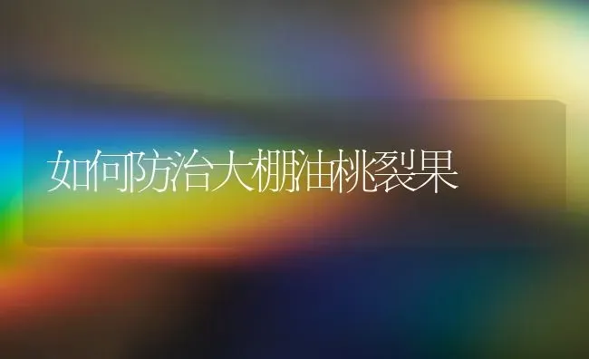 如何防治大棚油桃裂果 | 瓜果种植