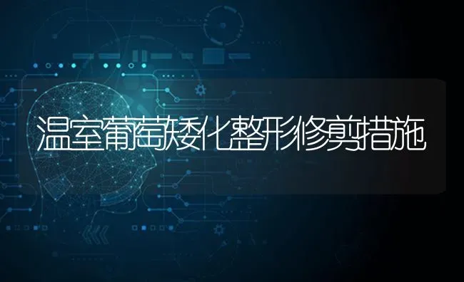 温室葡萄矮化整形修剪措施 | 瓜果种植