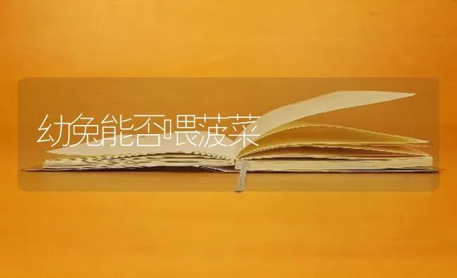 幼兔能否喂菠菜 | 蔬菜种植