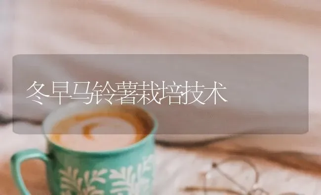 冬早马铃薯栽培技术 | 粮油作物种植