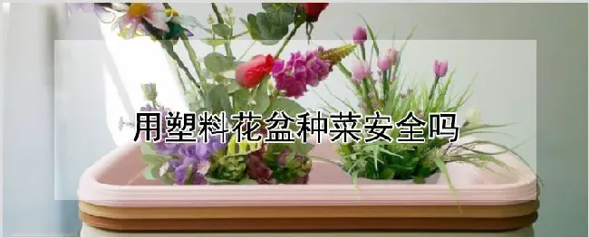 用塑料花盆种菜安全吗 | 自然知识