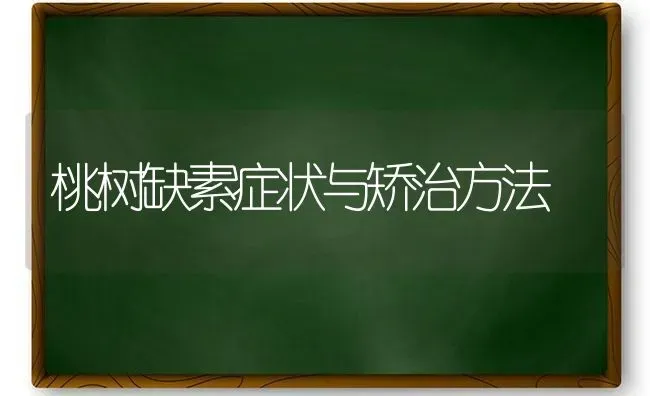 桃树缺素症状与矫治方法 | 瓜果种植