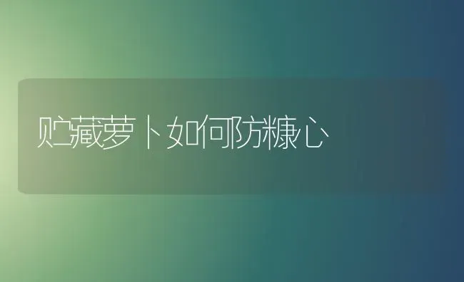 贮藏萝卜如何防糠心 | 蔬菜种植