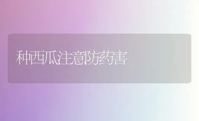 种西瓜注意防药害 | 瓜果种植