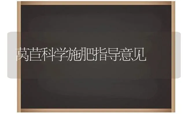 莴苣科学施肥指导意见 | 种植肥料施肥