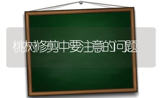 桃树修剪中要注意的问题 | 瓜果种植