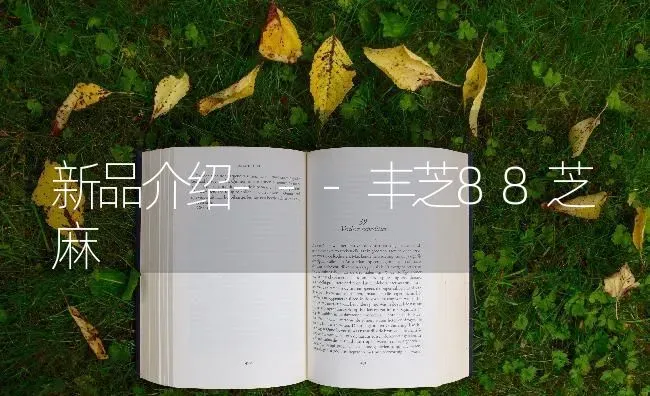 新品介绍---丰芝88芝麻 | 粮油作物种植
