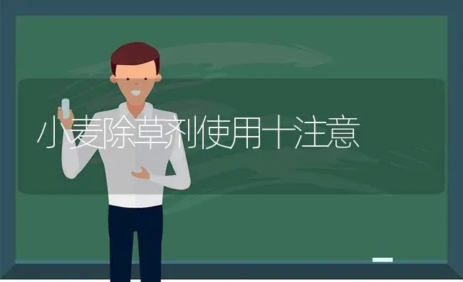 小麦除草剂使用十注意 | 粮油作物种植
