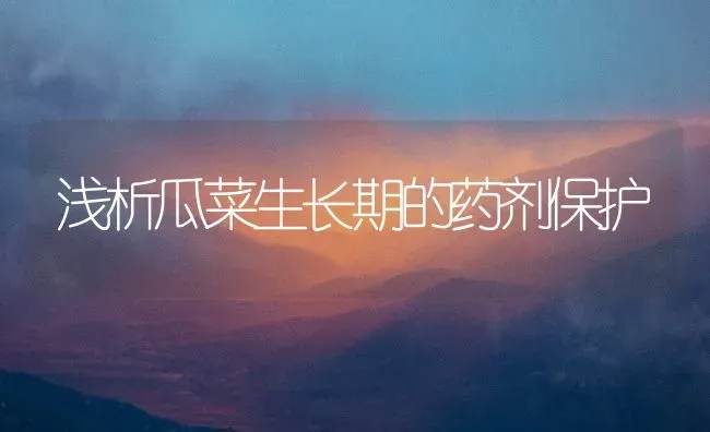 浅析瓜菜生长期的药剂保护 | 蔬菜种植