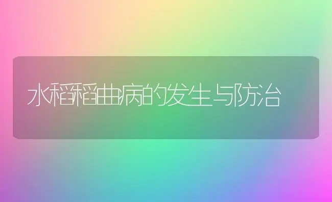 水稻稻曲病的发生与防治 | 粮油作物种植