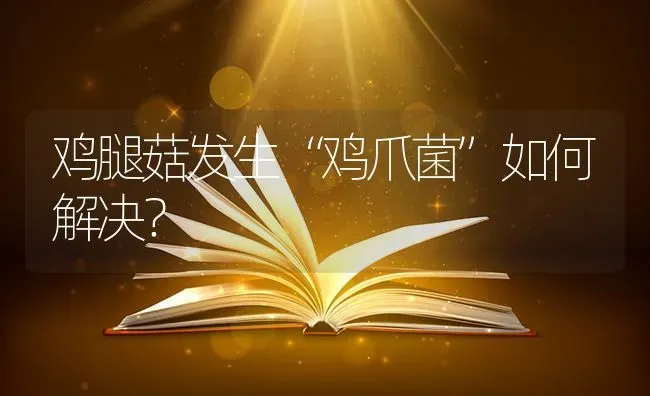 鸡腿菇发生“鸡爪菌”如何解决？ | 食用菌种植