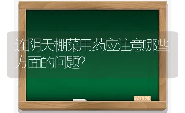 连阴天棚菜用药应注意哪些方面的问题？ | 蔬菜种植